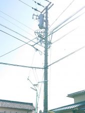 113307-1.jpg